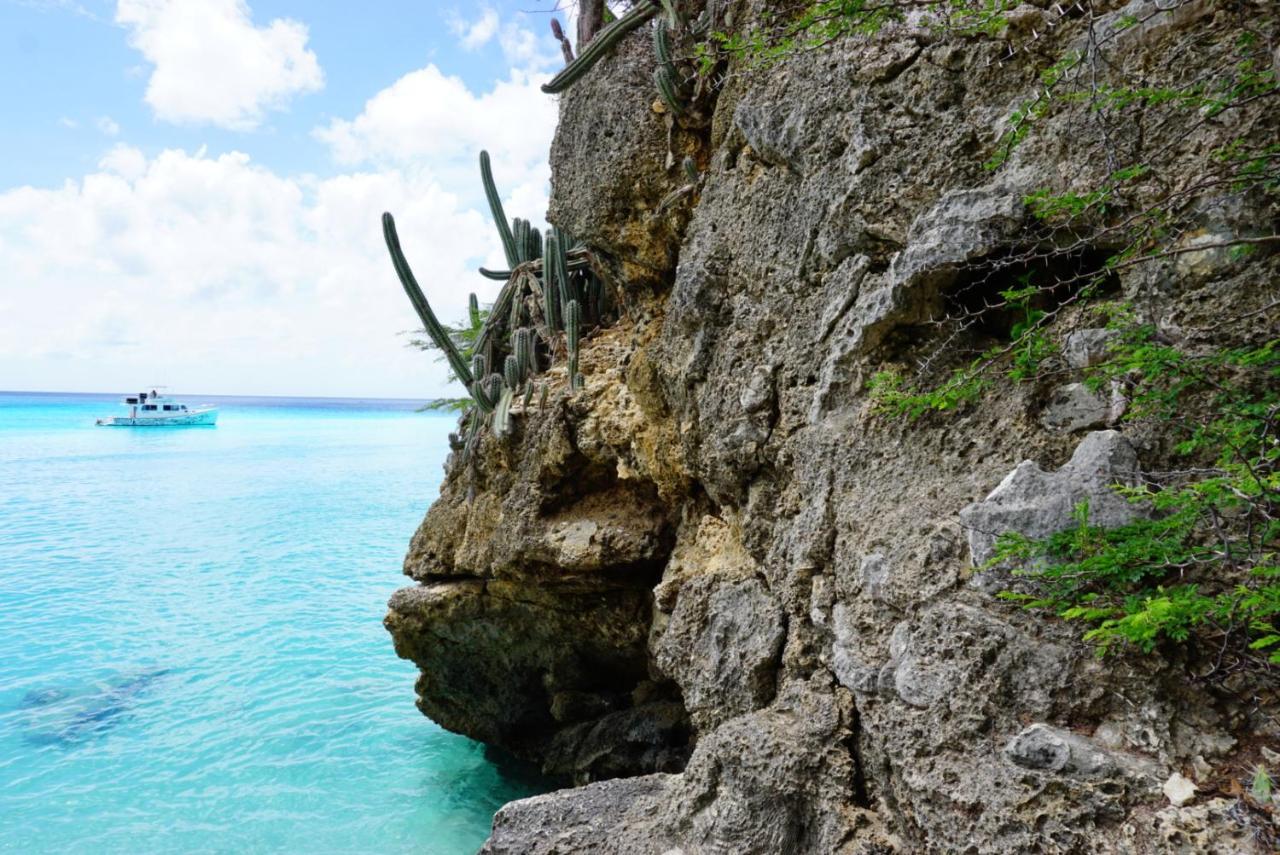 ホテル Boca Simon Vacation Curacao ウィレムスタッド エクステリア 写真