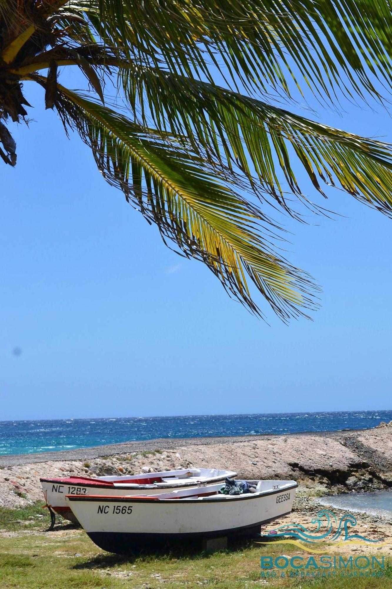 ホテル Boca Simon Vacation Curacao ウィレムスタッド エクステリア 写真